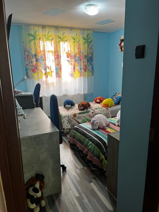 Apartament Maria 1 Băile Herculane Extérieur photo